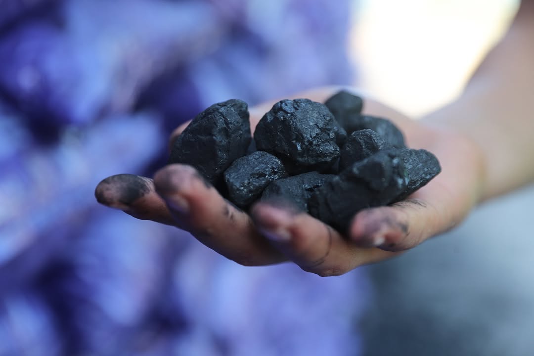 Antalya'da Hava Kalitesi İçin Kömür Denetimi