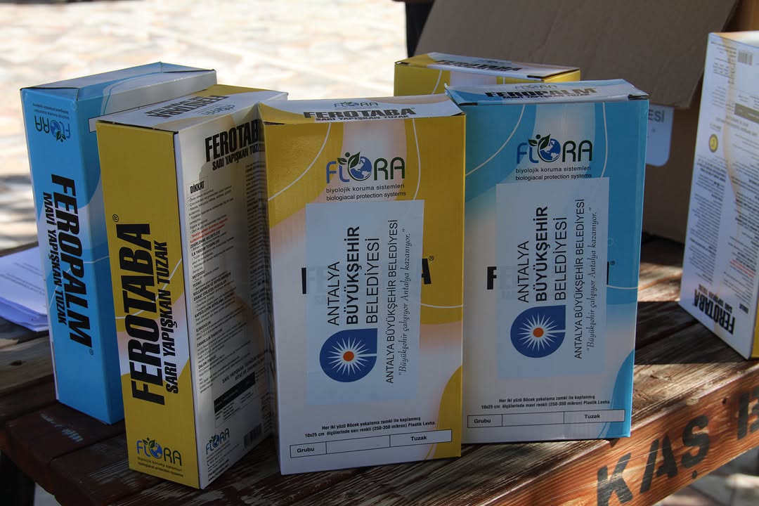 Antalya'da Çiftçilere Biyolojik Mücadele Desteği: 2400 Yapışkan Tuzak Dağıtıldı