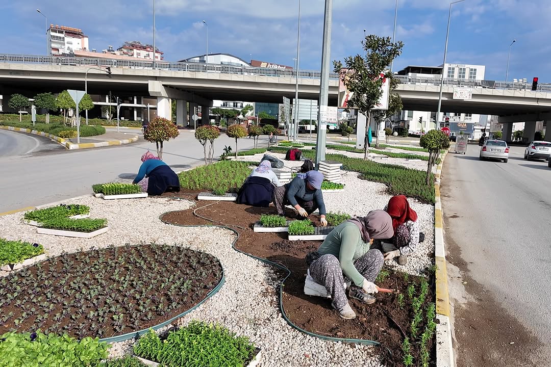 Serik'te Otogar Kavşağı-Belek Arasındaki Yolda Peyzaj Çalışmaları Hızlandı