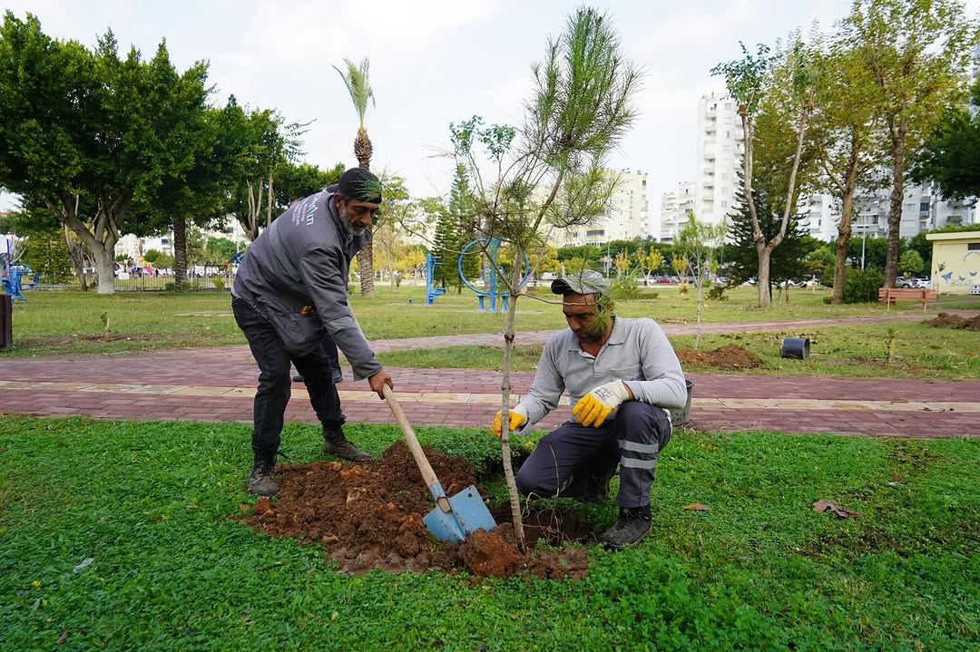 Konyaaltı Belediyesi, Parkları Yeniliyor