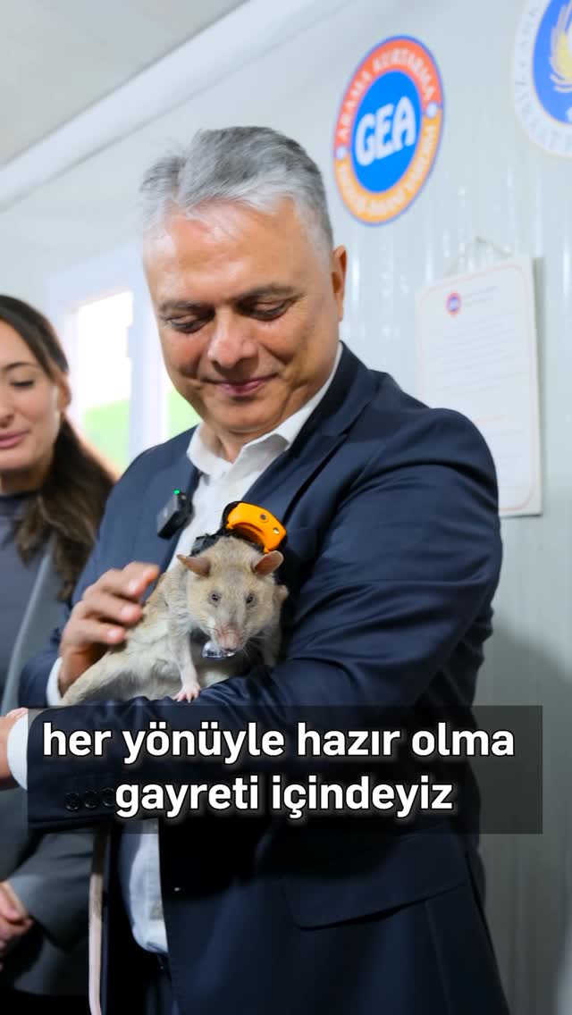 Antalya Muratpaşa Belediyesi, Arama Kurtarma Çalışmaları için Eğitimli Fareleri Göreve Hazırlıyor