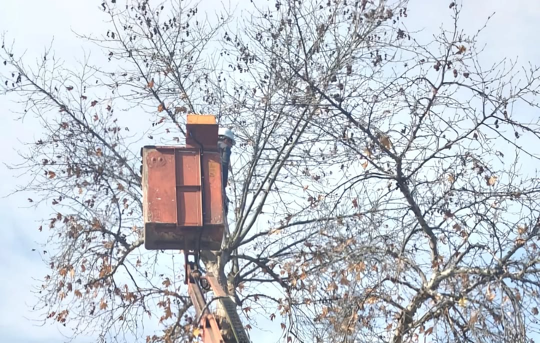 Antalya Aksu'da Çevre Düzenlemesi: Yol Kenarları ve Kaldırımlar Yenilendi