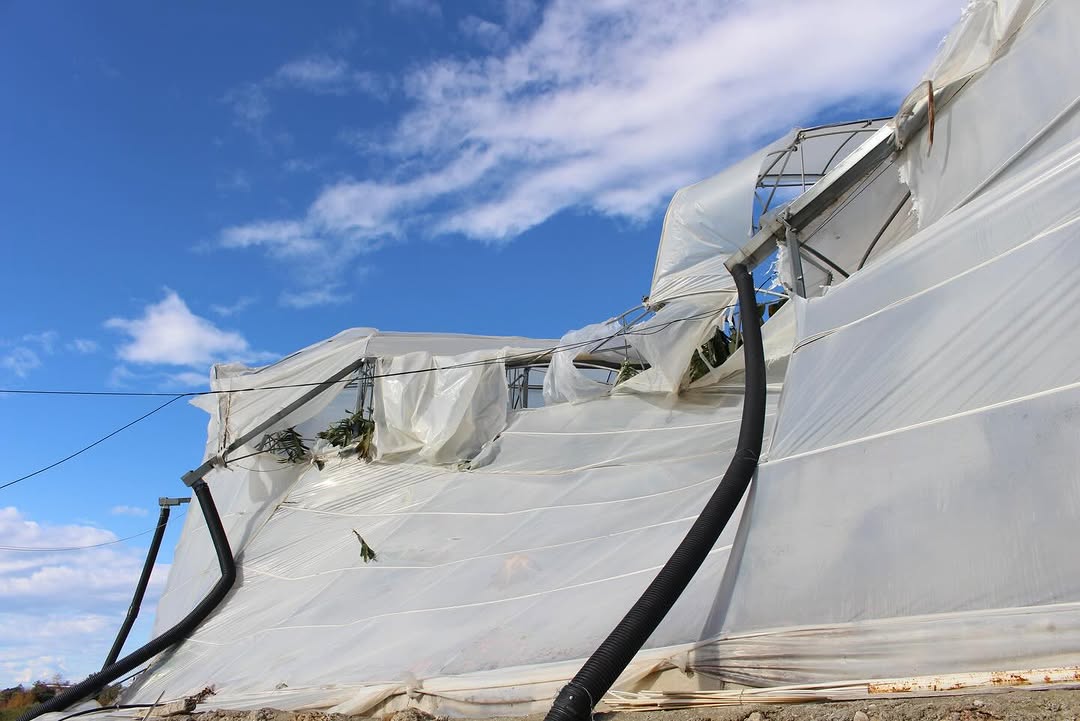 Manavgat'ta Hortum Sonrası Antalya Büyükşehir Hasar Tespit Çalışması Başlattı