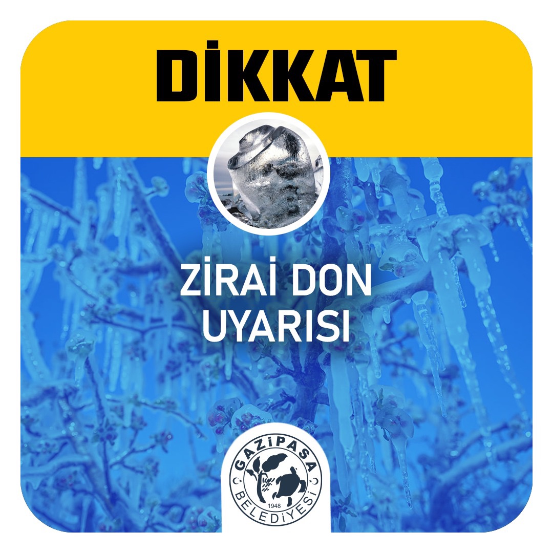 Antalya Sahil Kesimlerinde Hafif Zirai Don Uyarısı