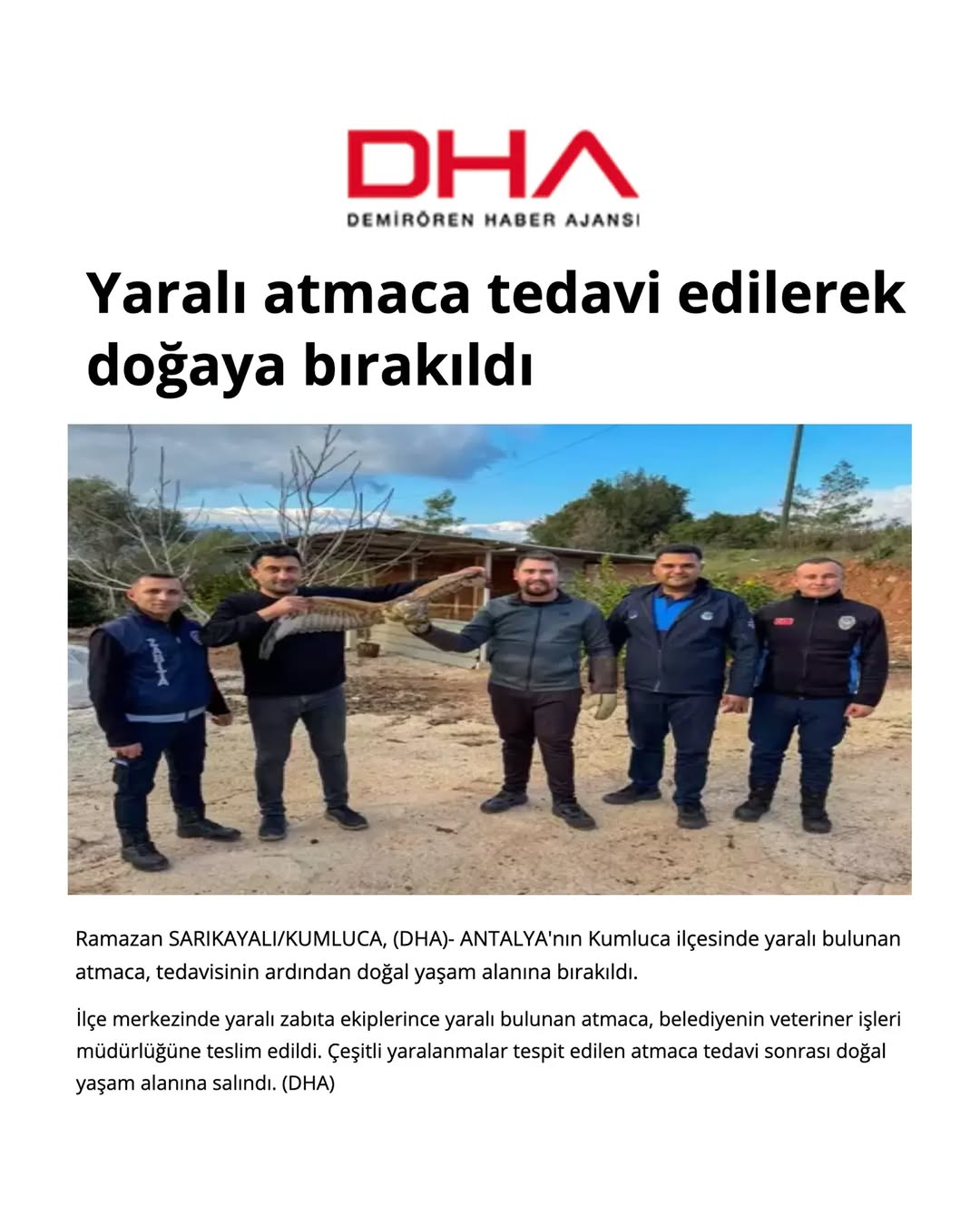 Yaralı Atmaca, Kumluca'da Tedavi Edilerek Doğaya Salındı
