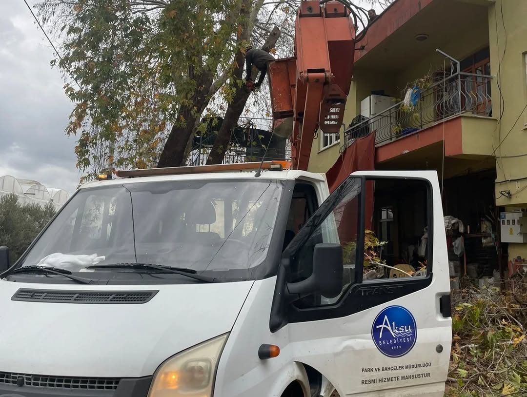 Antalya Aksu'da Park ve Bahçelerde Kapsamlı Budama Çalışması