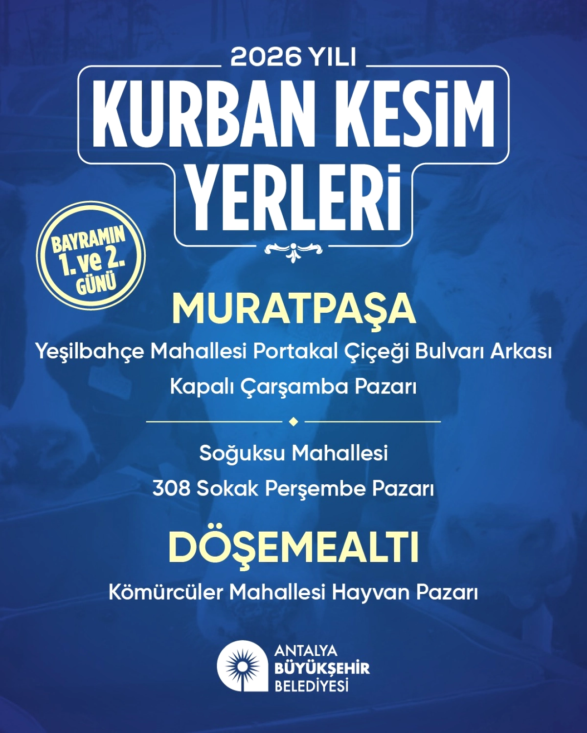 Antalya'da Kurban Bayramı Hazırlığı: 6 Noktada Ücretsiz Kesim Hizmeti
