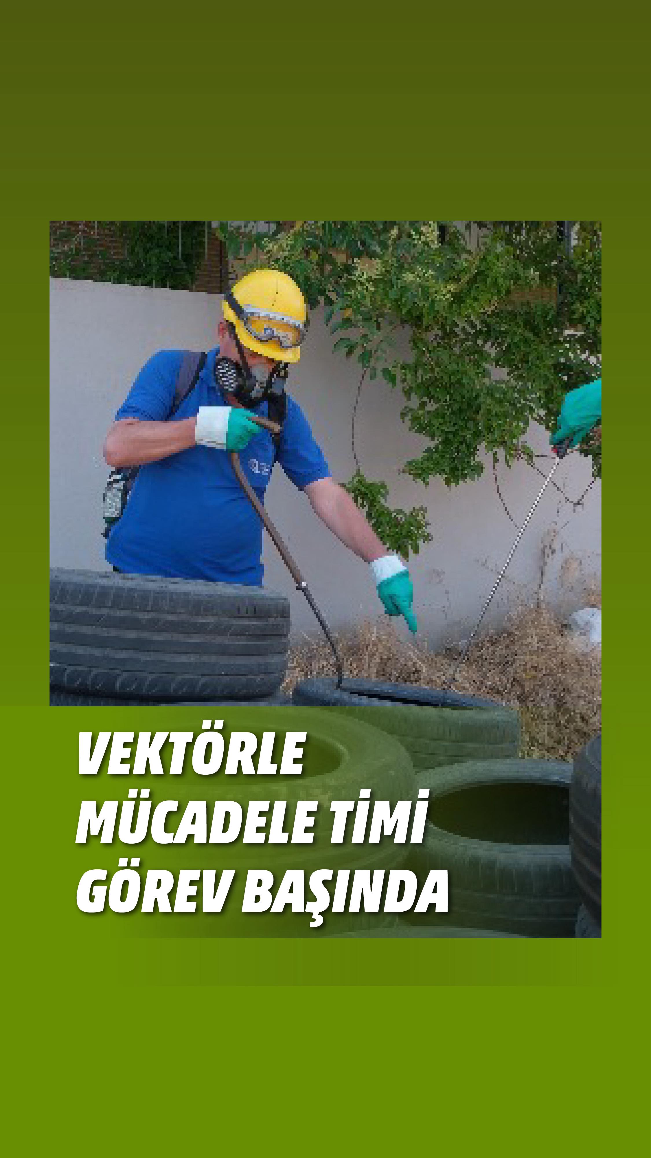 Antalya'da Vektörle Mücadelede Kesintisiz Operasyon