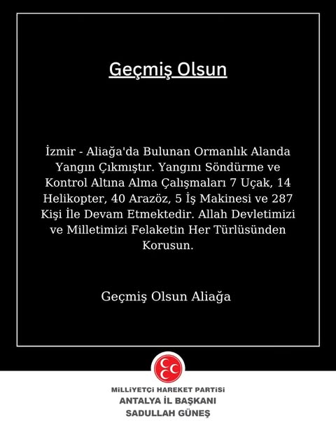 Aliağa'da Orman Yangını: Dev Ekipler Seferber Oldu
