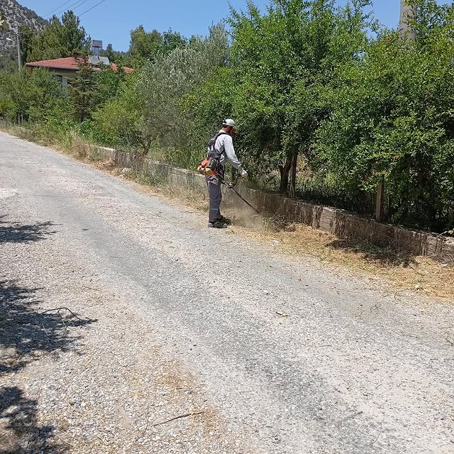 Antalya Akseki'de Ot Kesim Çalışmaları Tamamlandı