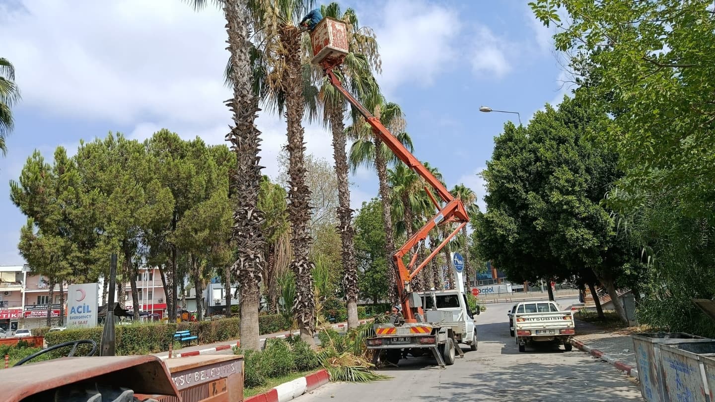 Antalya Aksu Belediyesi Park ve Bahçelerde Ağaç Budama Çalışmaları Tamamlandı