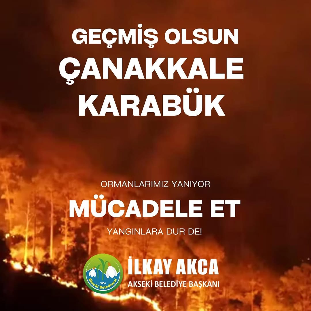 Türkiye'yi Üzen Orman Yangınları: Çanakkale ve Karabük'te Durum