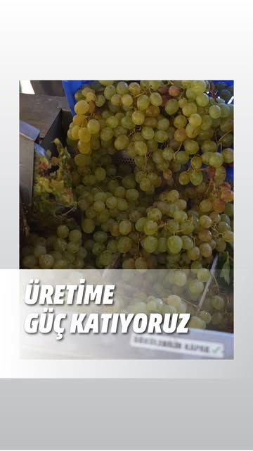 Antalya Büyükşehir Belediyesi Üretici Kadınlara Üzüm Sıkma Makinesi Desteği Sağladı