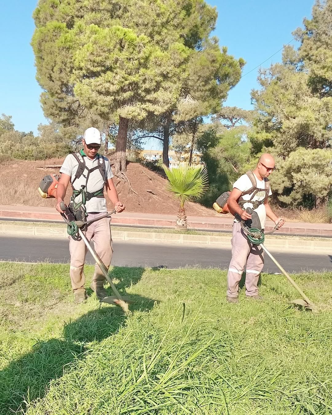 Antalya Manavgat'ta Park ve Bahçeler Müdürlüğü'nden Bakım Çalışmaları