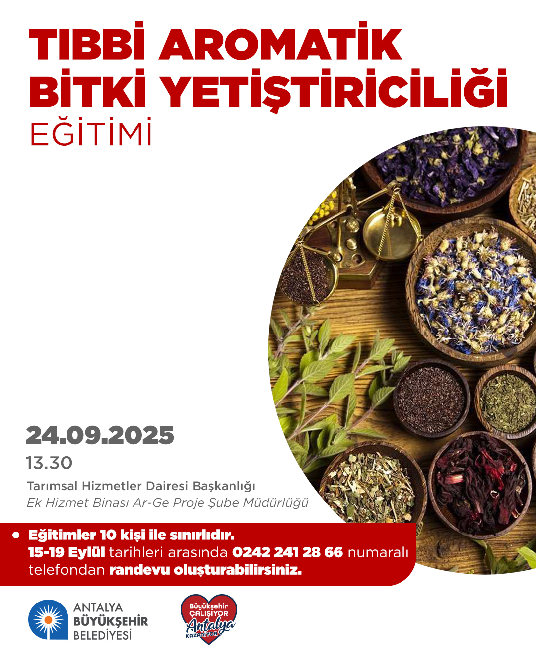 Antalya'da Tıbbi Aromatik Bitki Yetiştiriciliği Eğitimi Başlıyor