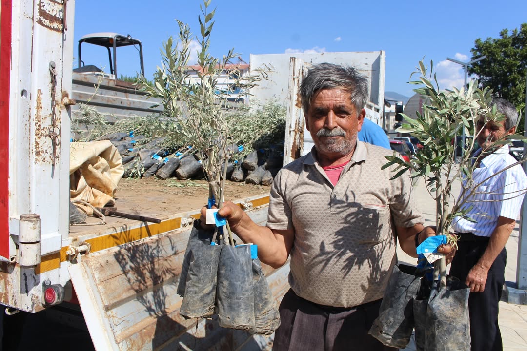 Antalya Büyükşehir Belediyesi, Gazipaşa Çiftçilerine Zeytin Fidanı Desteği Sağladı