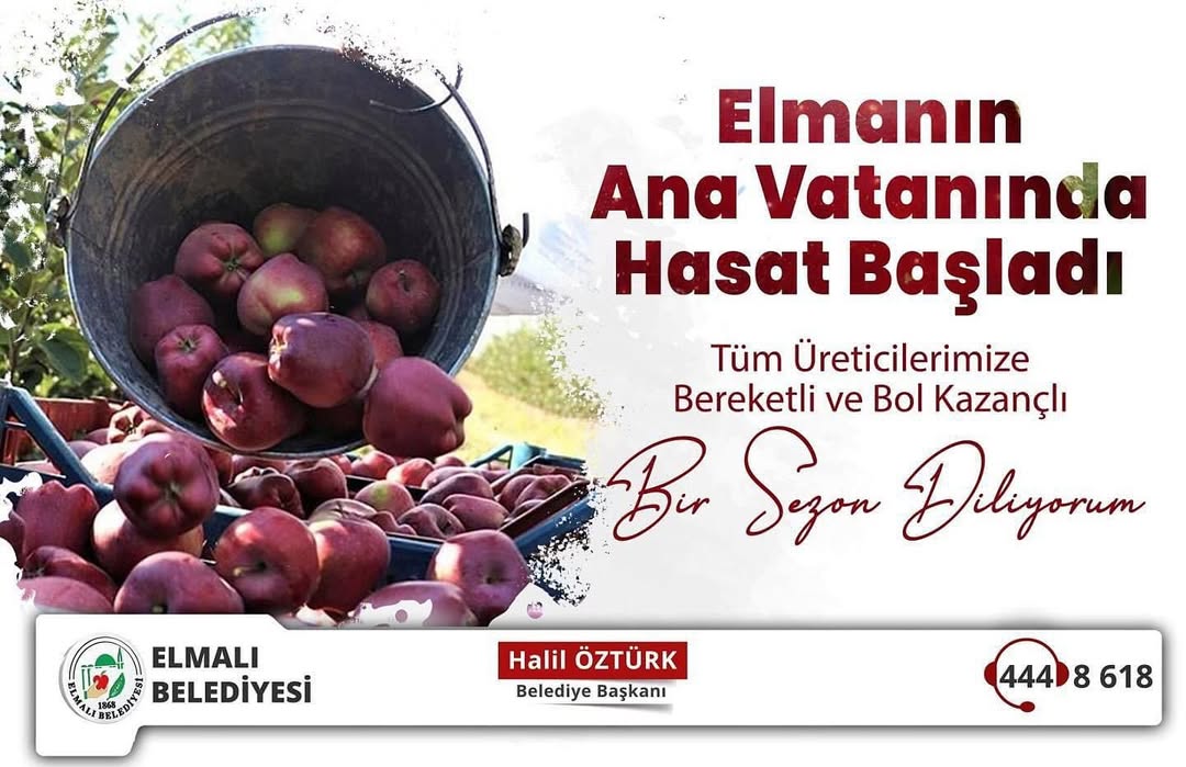 Elmalı'da Elma Hasadı Bereketi Başladı