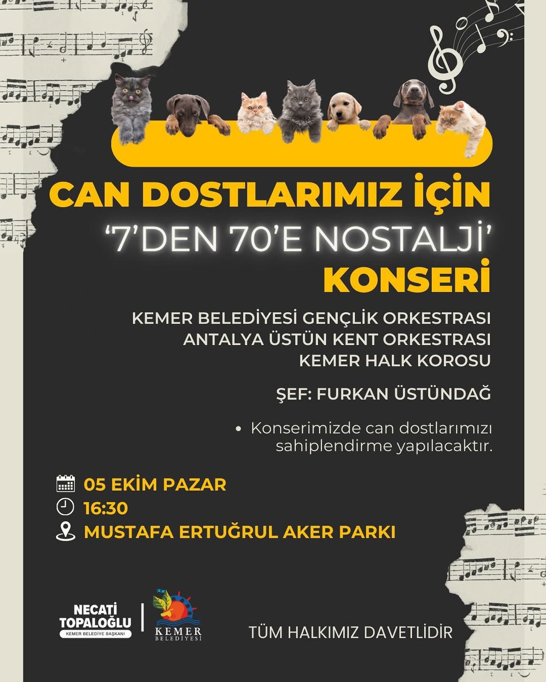 Antalya Kemer'de Sokak Hayvanları İçin Nostaljik Konser Düzenleniyor