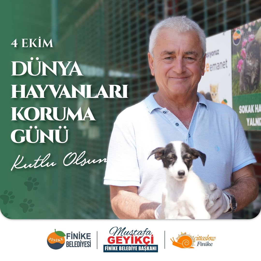 Finike Belediyesi, Sokak Hayvanları İçin Sevgi ve Şefkatle Çalışıyor