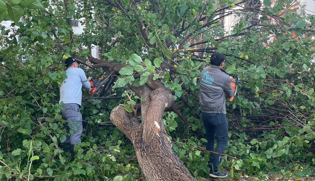 Aksu'da Fırtına Sonrası Temizlik ve Tamirat Çalışmaları Tamamlandı